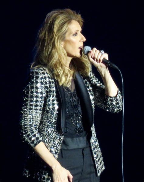 celine dion vermögen|celine dion singer.